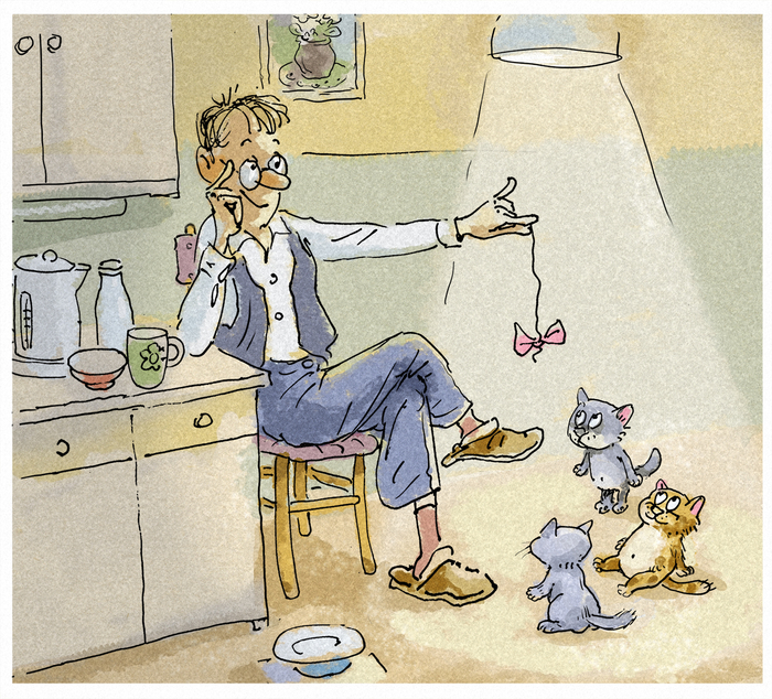 Опять коты 2