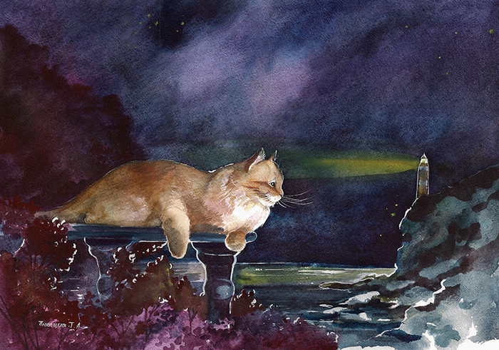 Мечты в ночи