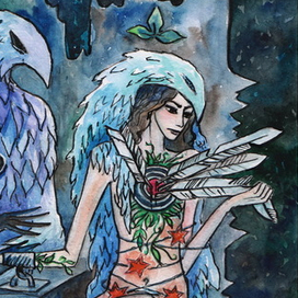 птичьи пещеры