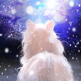 Кот-созерцатель