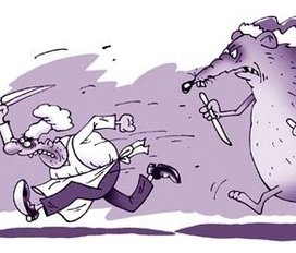 С Новым годом Крысы!