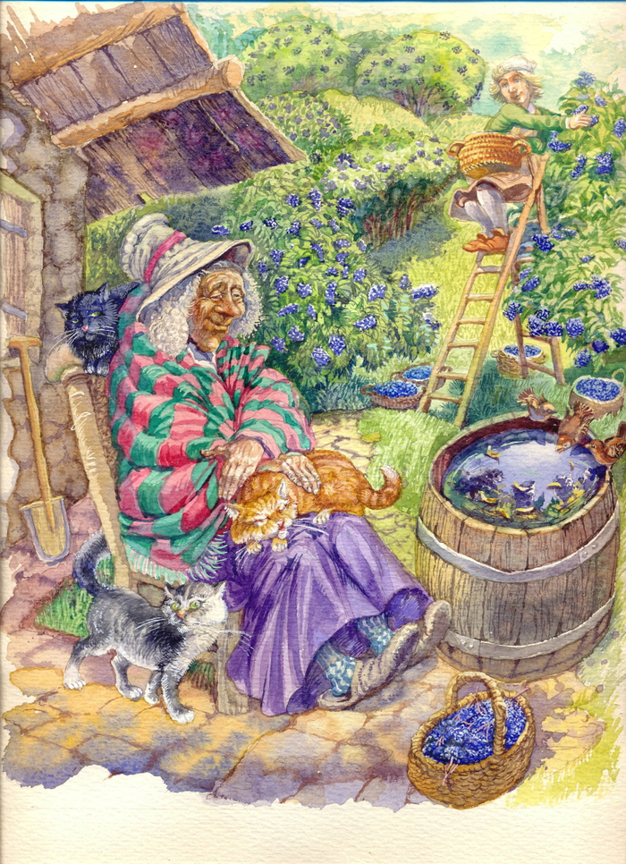 Ганс собирает бузину для фрау Холле)