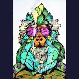 Капитан Обезьян