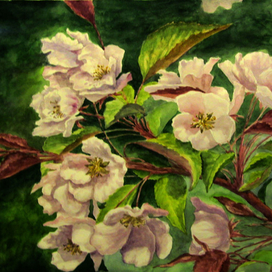 цветущая ветка