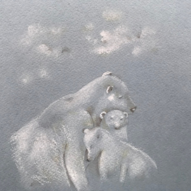 Белые медведи