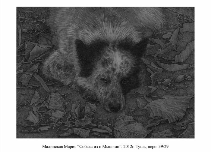 Собака из г. Мышкин