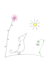 Мышь под солнцем