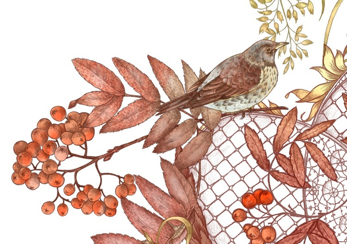 Фрагмент орнамента