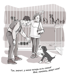 Про Принцессу