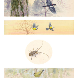 кп (дя,си,у,ко)