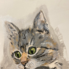 Котёнок 