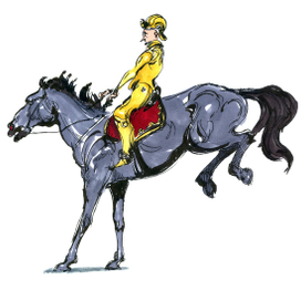 Рыцарь на коне