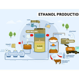 I2BF / illustrations