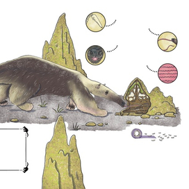 Фрагмент иллюстрации моей авторской книги "Я тебя съем"