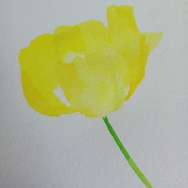 Тюльпанчик