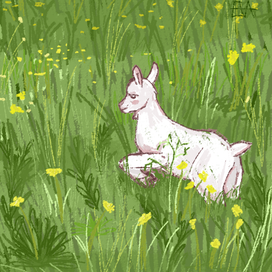 Козлёночек