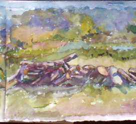 Бревна на поляне