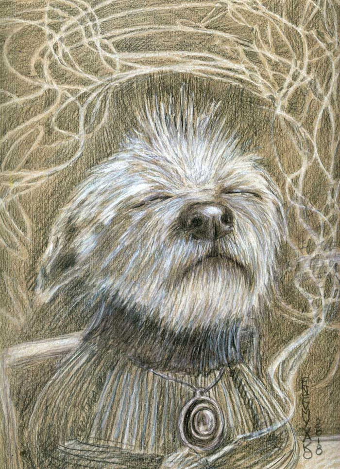 солнце греет, а к парикмахеру еще не сходила (первое тепло было в субботу)