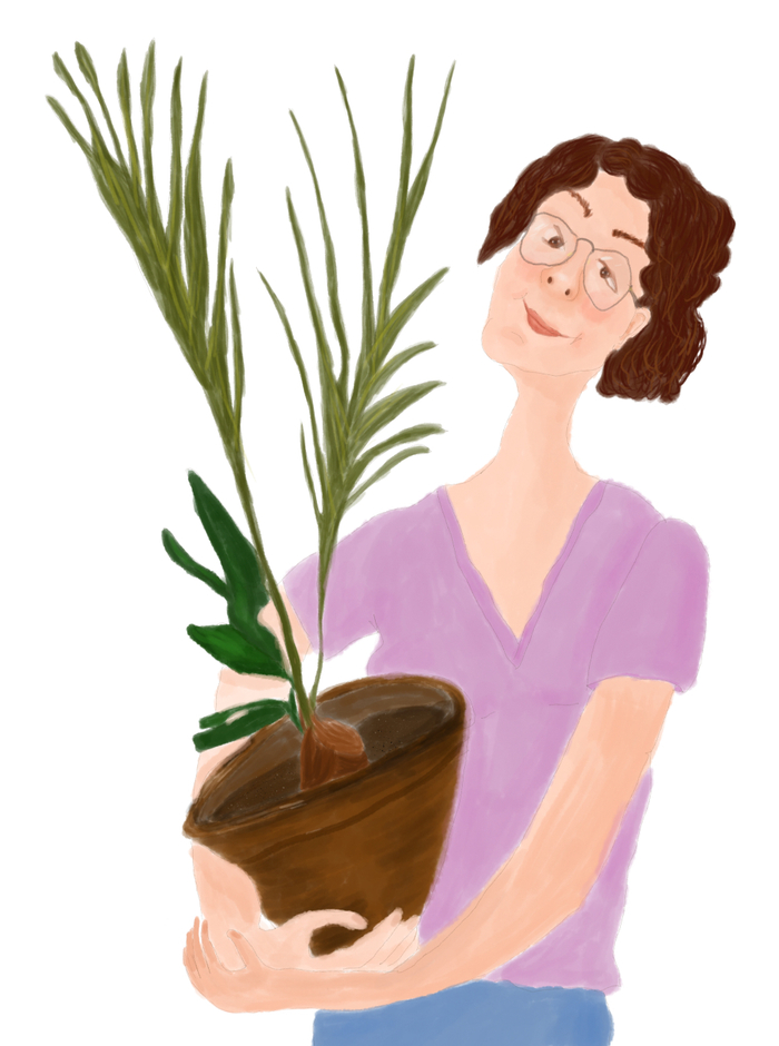 Цветок в горшке