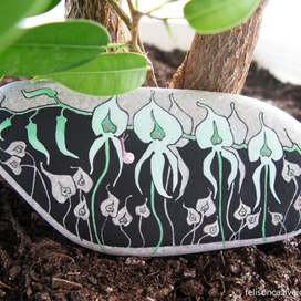 Орхидеюшки