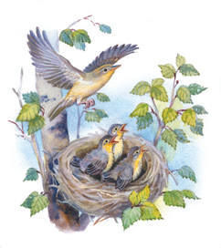 Прощание с подкидышем