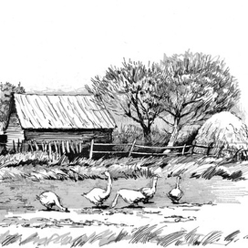 Зарисовка с гусями