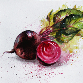 аква скетч "Свекла"