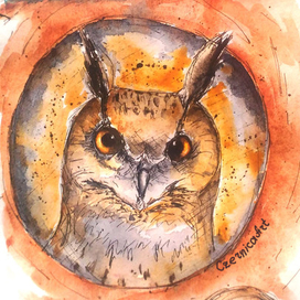 Кто в домике?