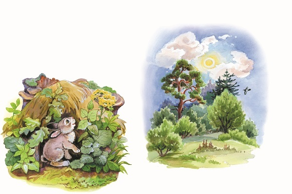 Зайчонок и солнышко