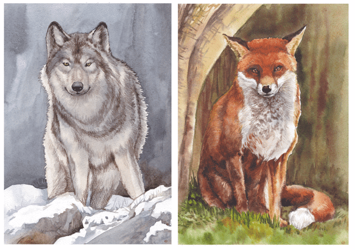 Кум да Кума