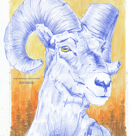 Blue Mountain Goat