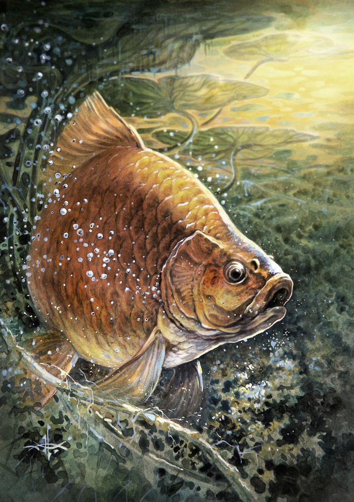 Крупняк...!!!