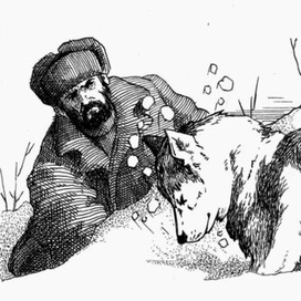 Возвращение росомахи. Илл.8