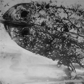 Рыбья любовь - Раз