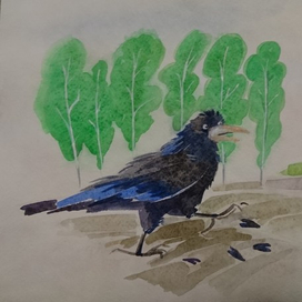 Несмышленыш в Чиж и Еж