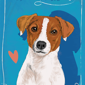 Породы собак