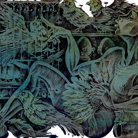 Орнитология