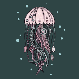 Jellyfish