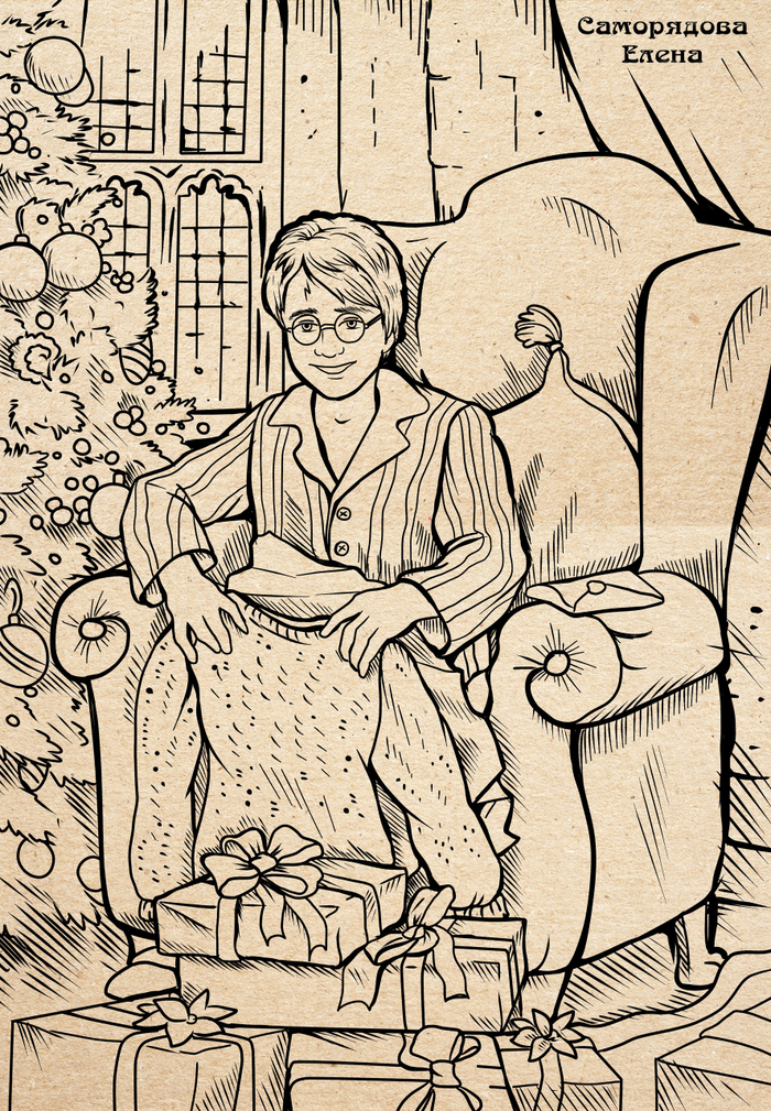 Гарри Поттер и Рождество