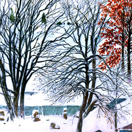 С-Пб. Сад камней Владимира Ивановича.