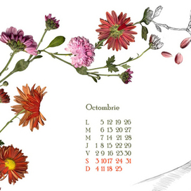 страницы календаря