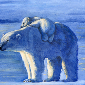 Белые медведи