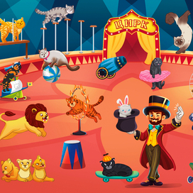 кошки в цирке