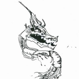 Голова бессмертного дракона