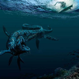 Опасный заплыв на Большом барьерном...