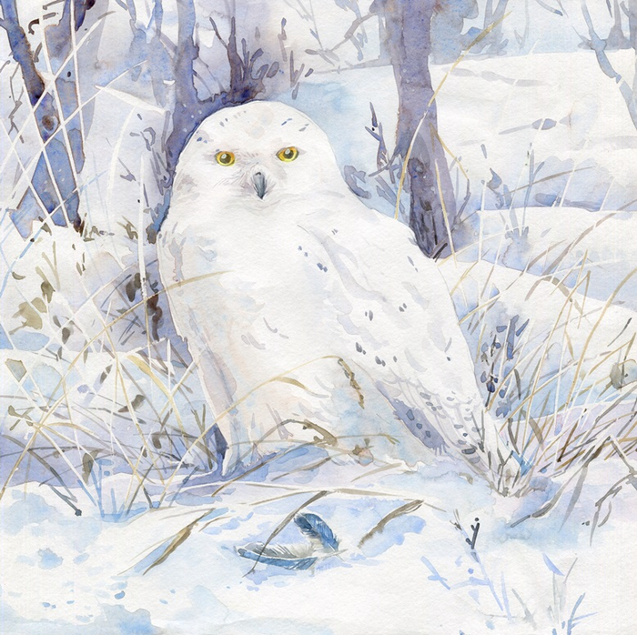 Полярная сова