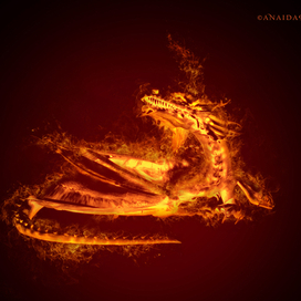 Огненный дракон
