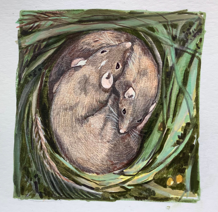 Мышки. Скетч