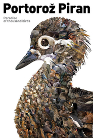 Рай ты­сячи птиц