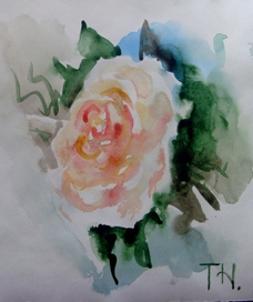 Набросок роза